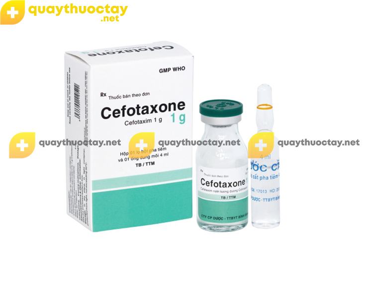 Thuốc Cefotaxone
